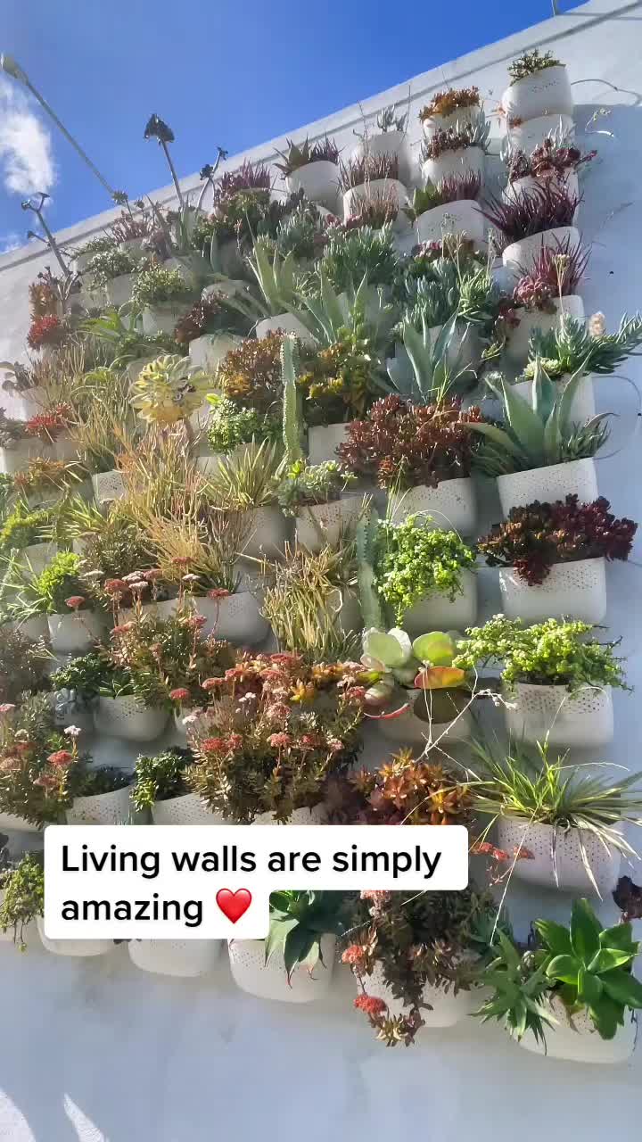 @The_Plant_Blogger