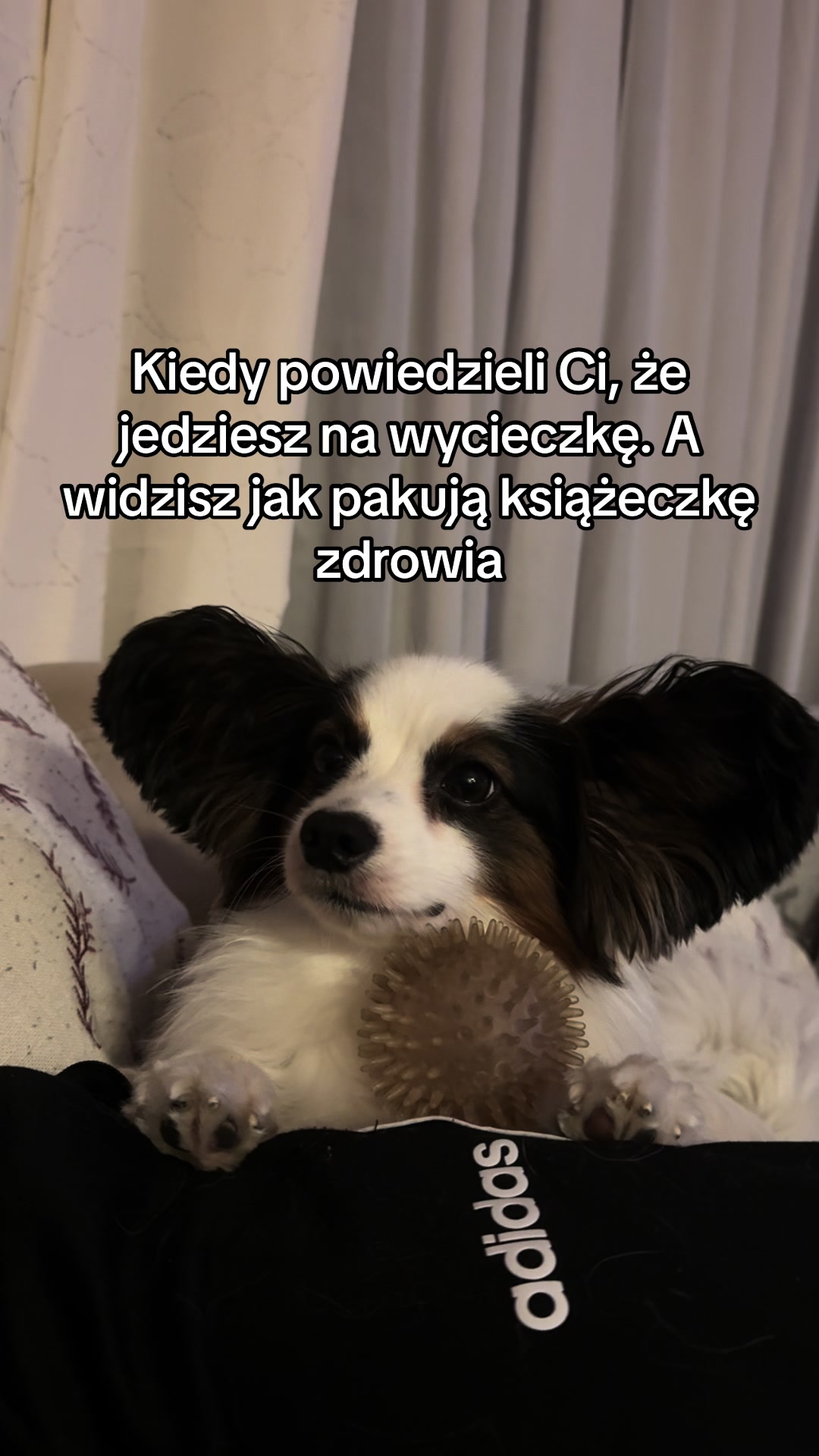 @Martyś 🥳