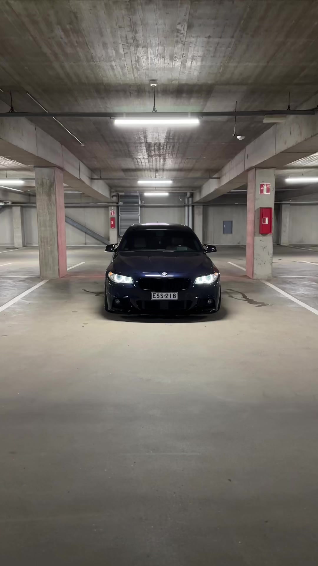 @️Avenzis