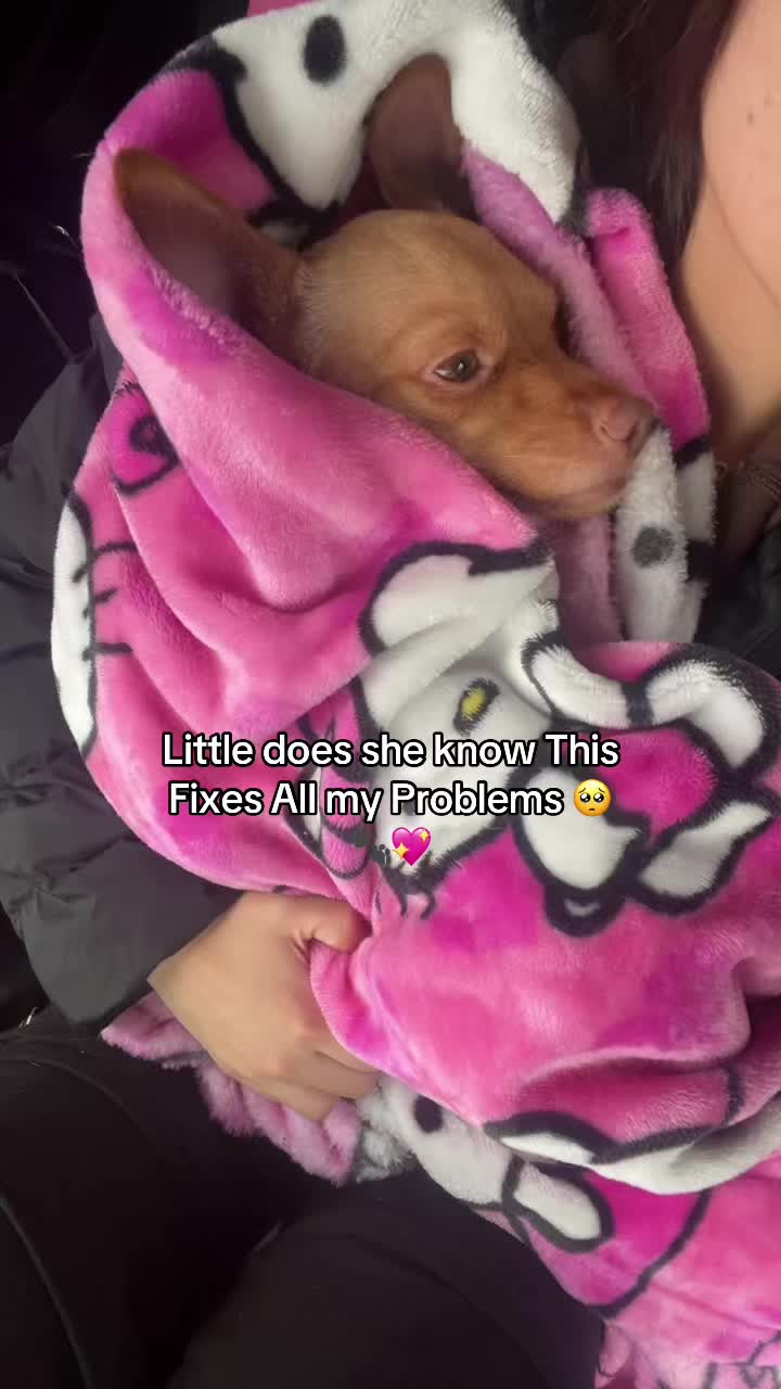 @XoZulmaaXo