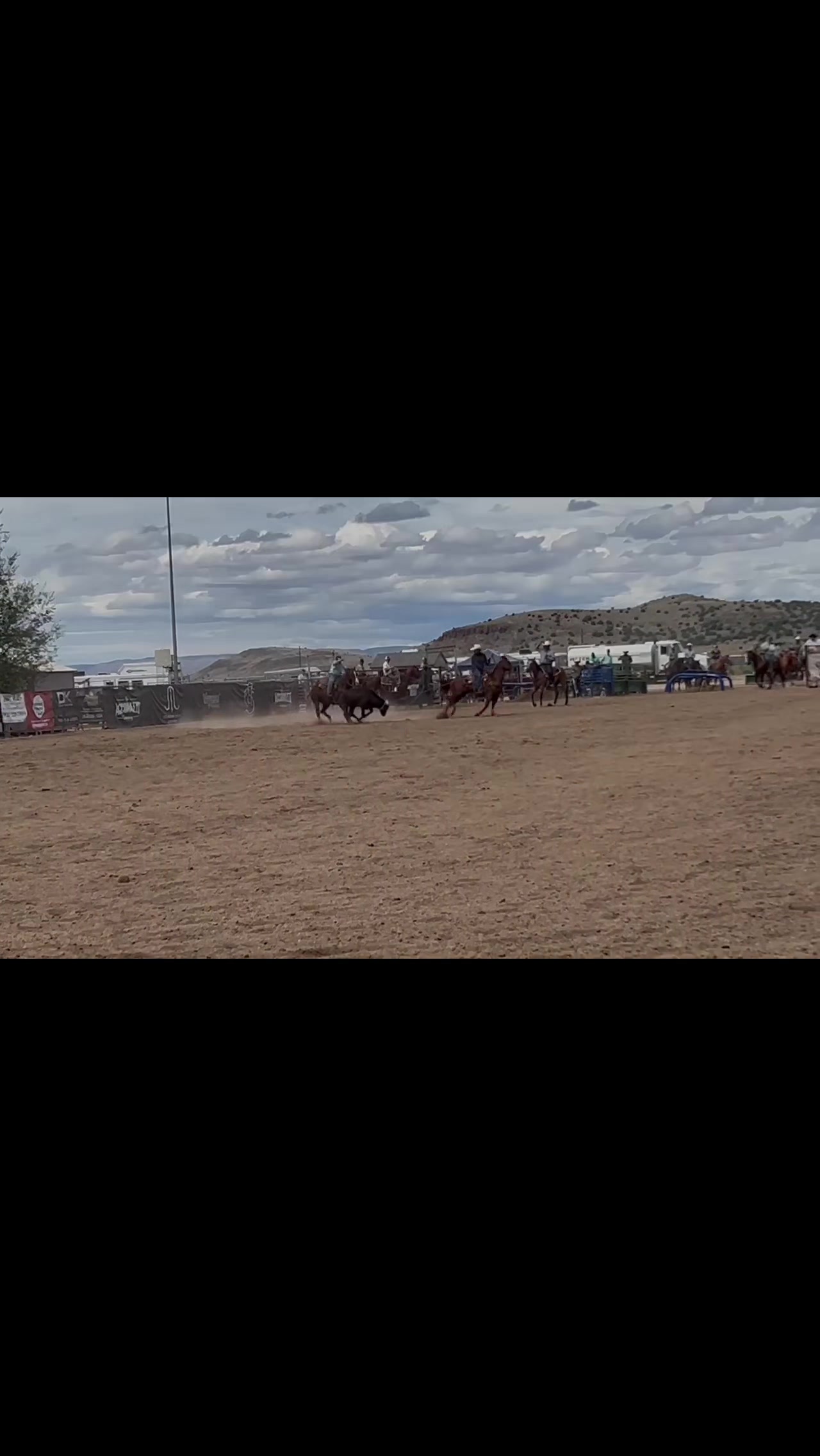 @Cord Forzano Rope Horses