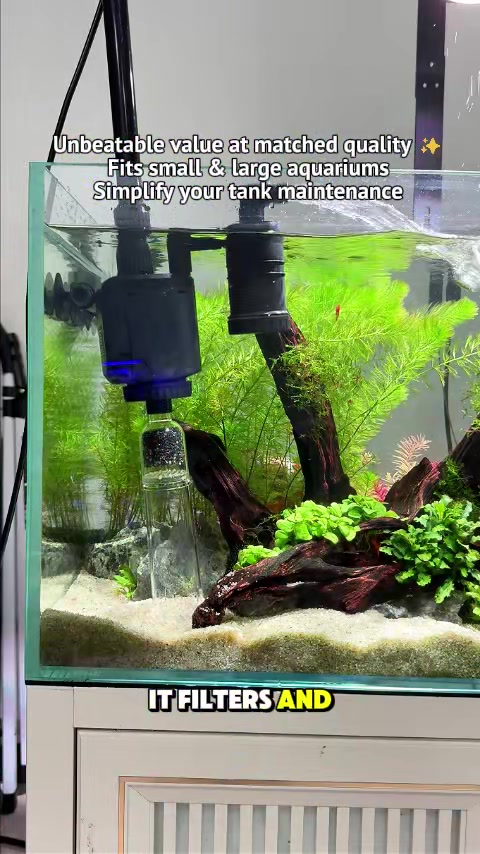 @AQQA Aquarium Store