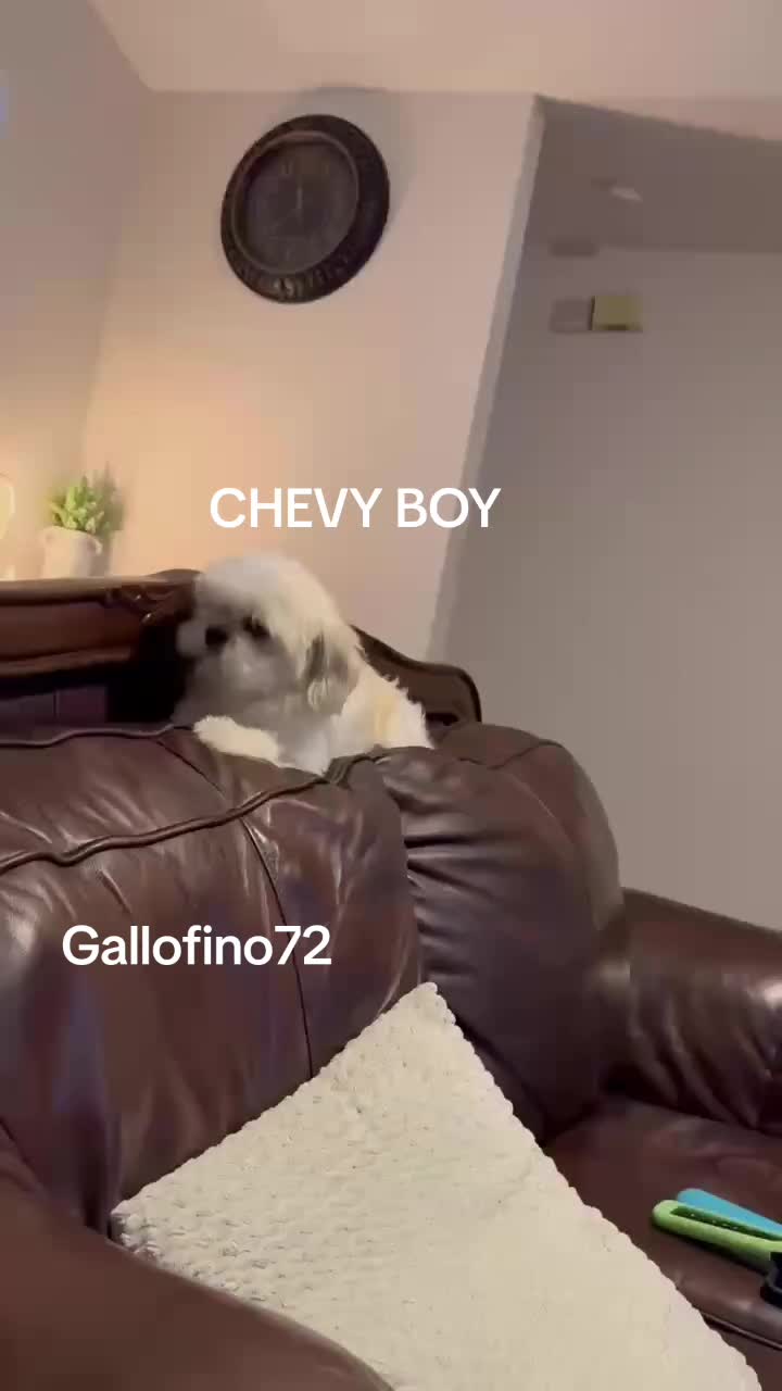 @ElGalloFino