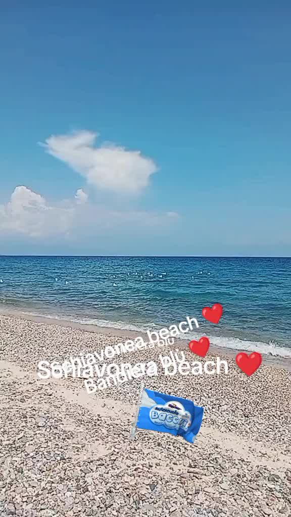 @Salvo66