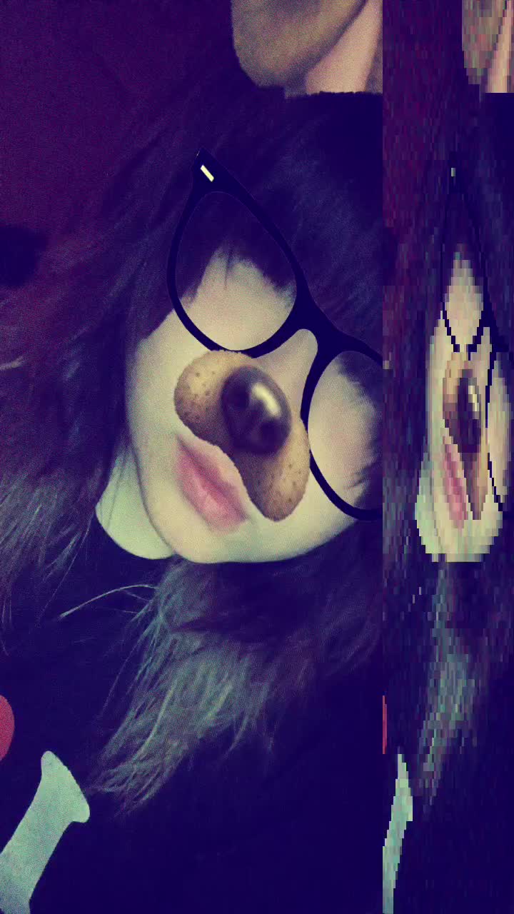 @❀⋆.ೃ࿔*:・ꩇׁׅ݊ꫀׁׅܻᨵׁׅᨰׁׅ ⚞^. .^⚟