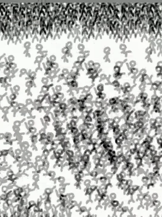 @animoshpit