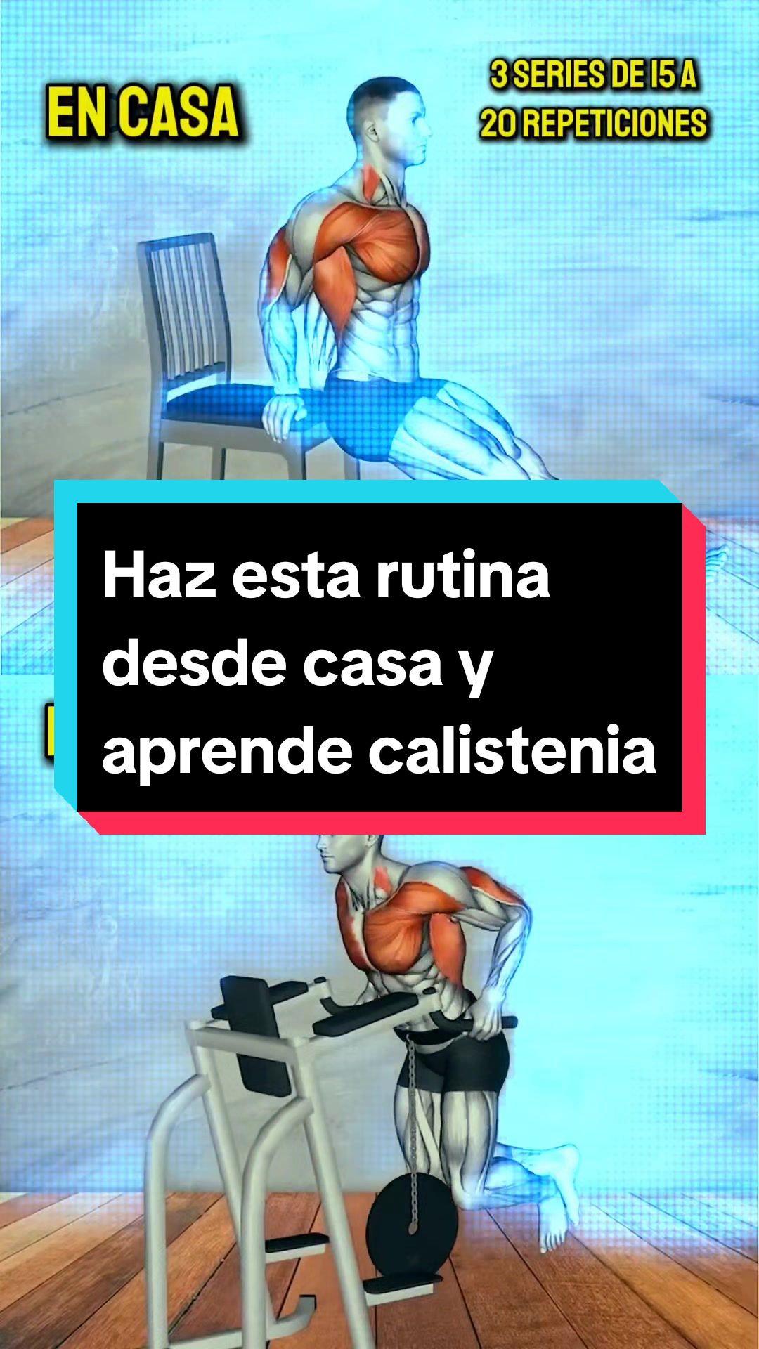 @Calistenia 360 academy