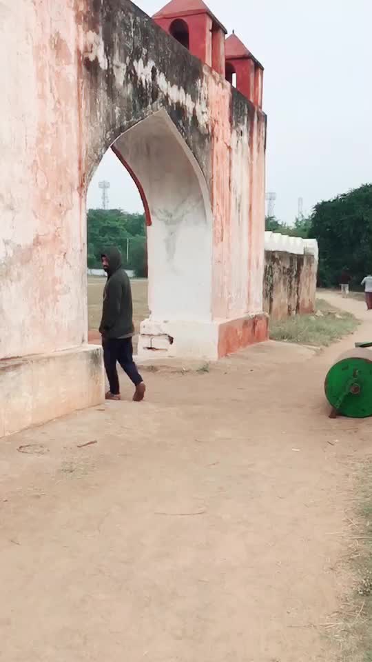 @alibinyahiyazaidi