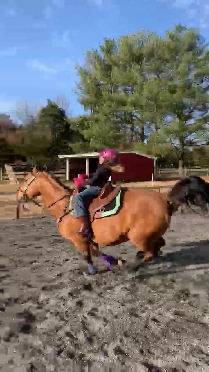 @Equine.blessings