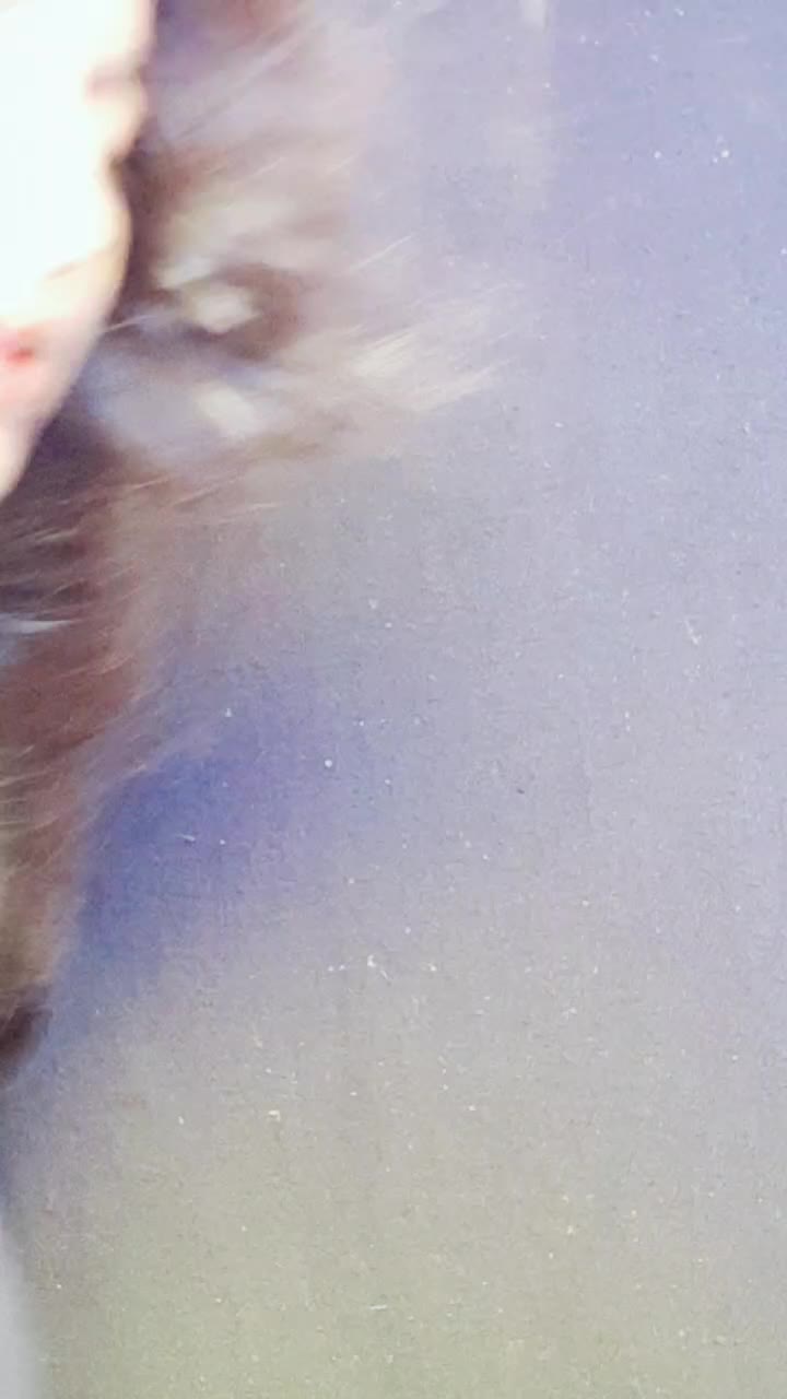 @janvi Saxena