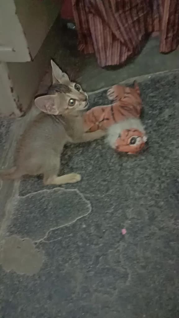 @Dhasthagiri