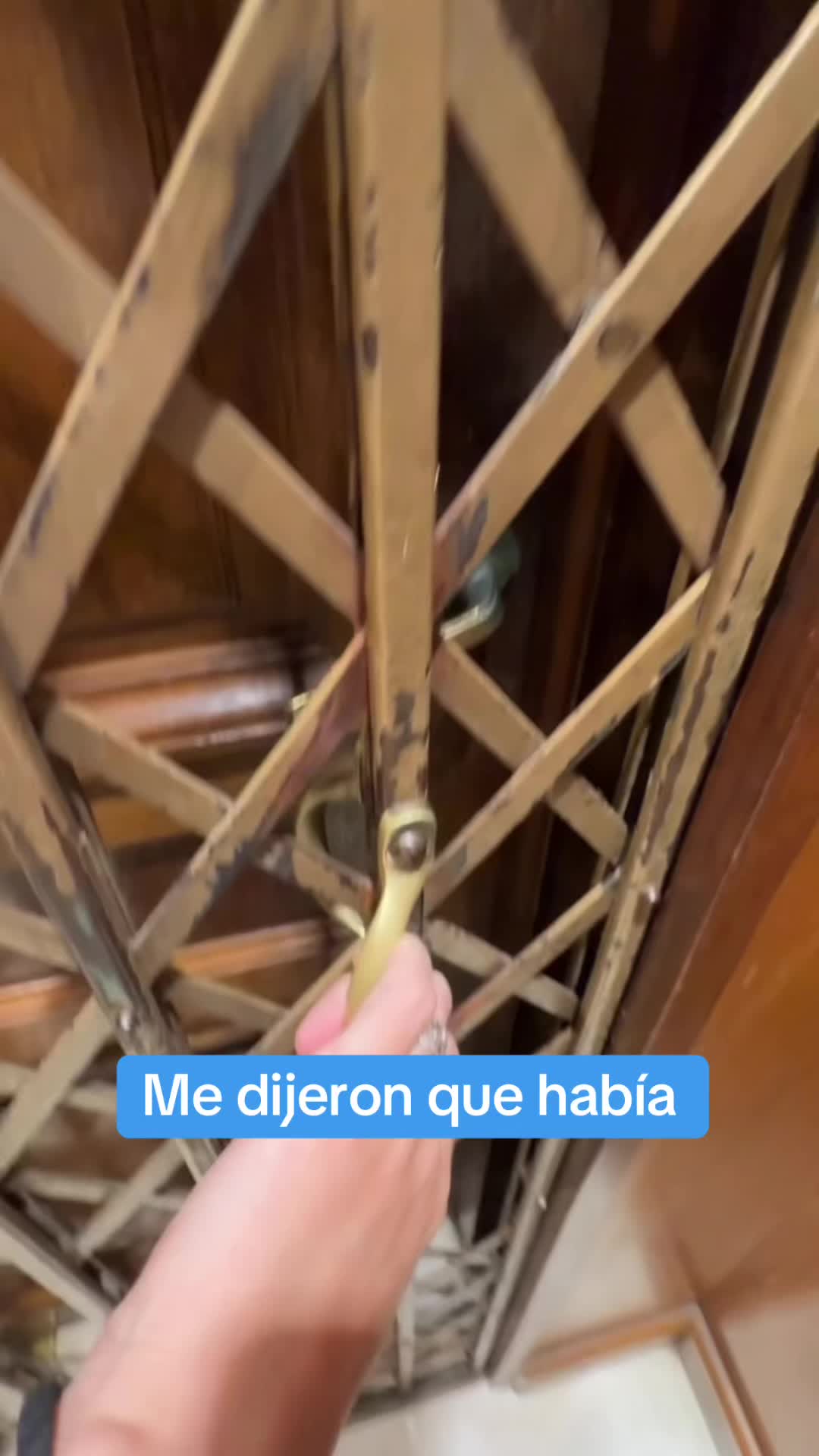 @Olivia Pando