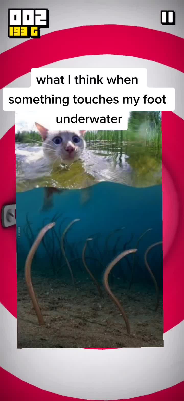 @Meme