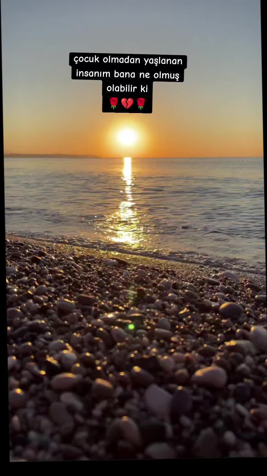 @bay_sambur