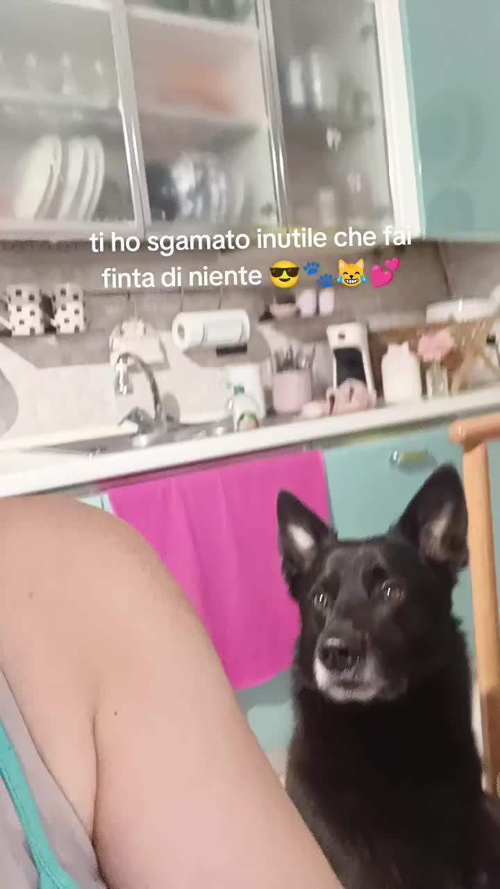 @Stefania Basla