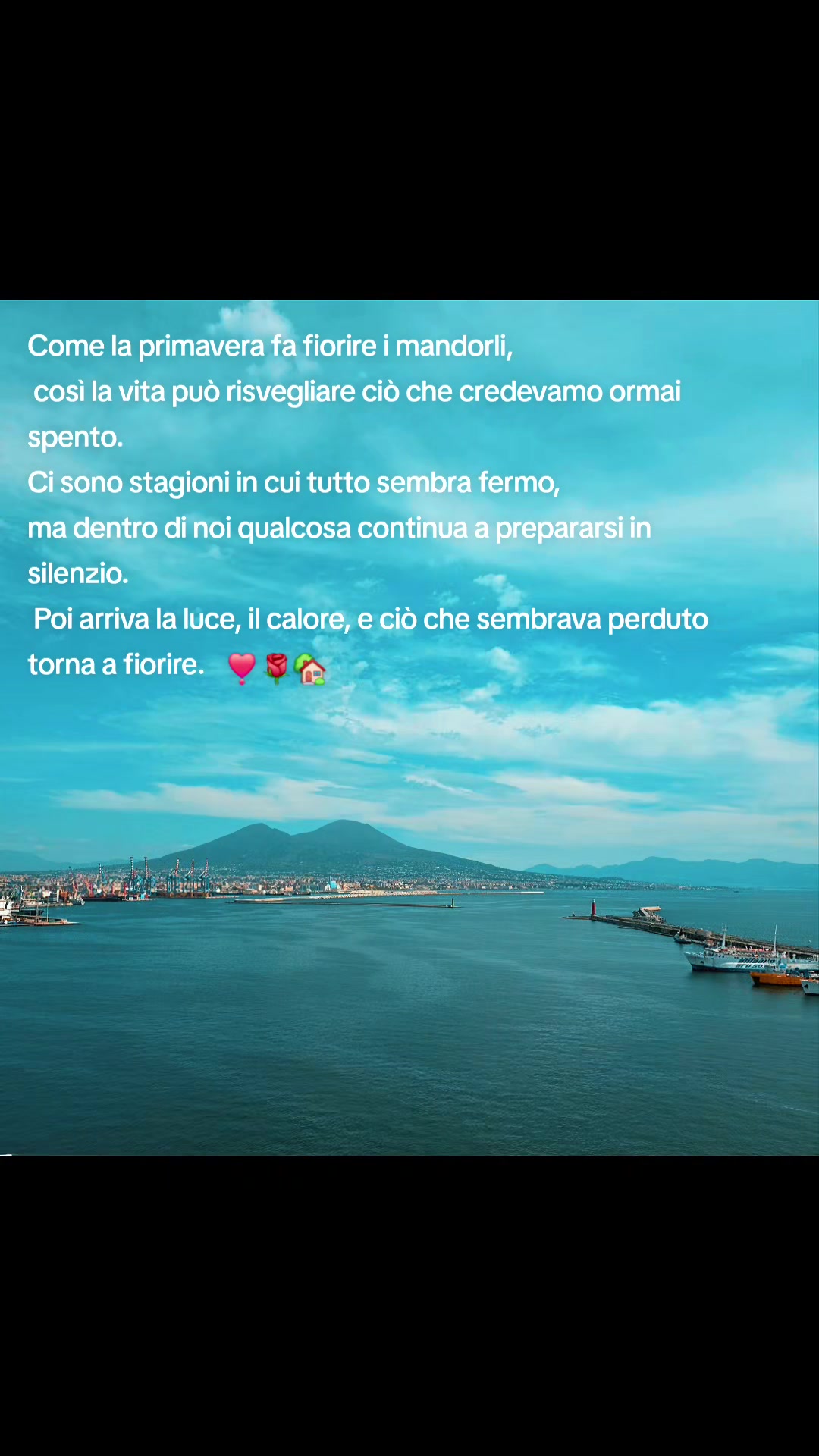 @Napoli❣️forever❣️