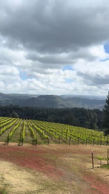 @SoCal Uncorked