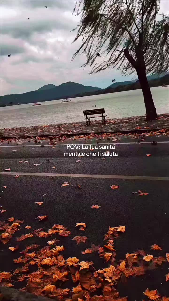 @rondinialguinzaglio🤍