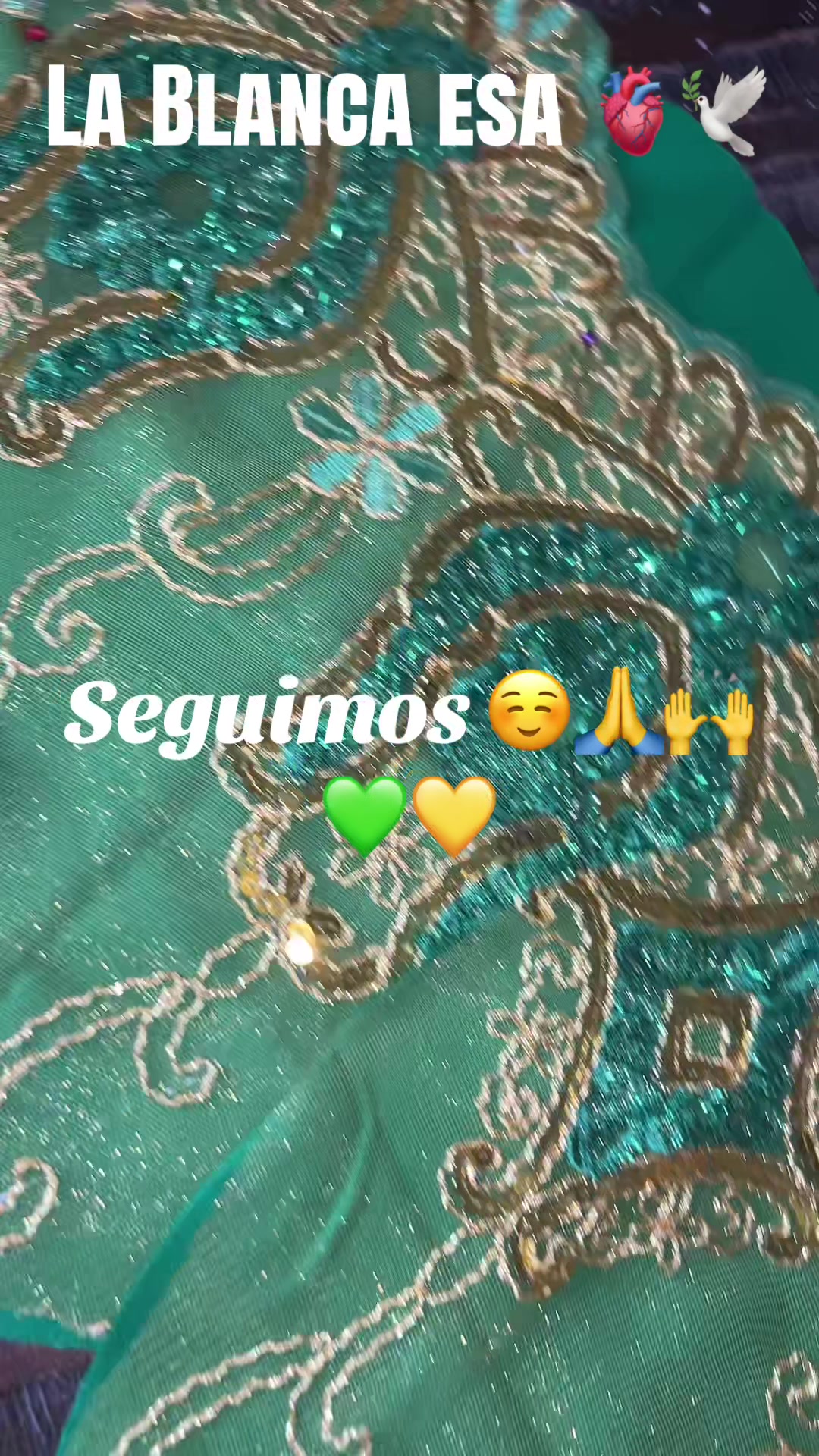 @Lacasadeeggun🤍🖤