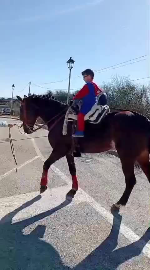 @antoncampos23
