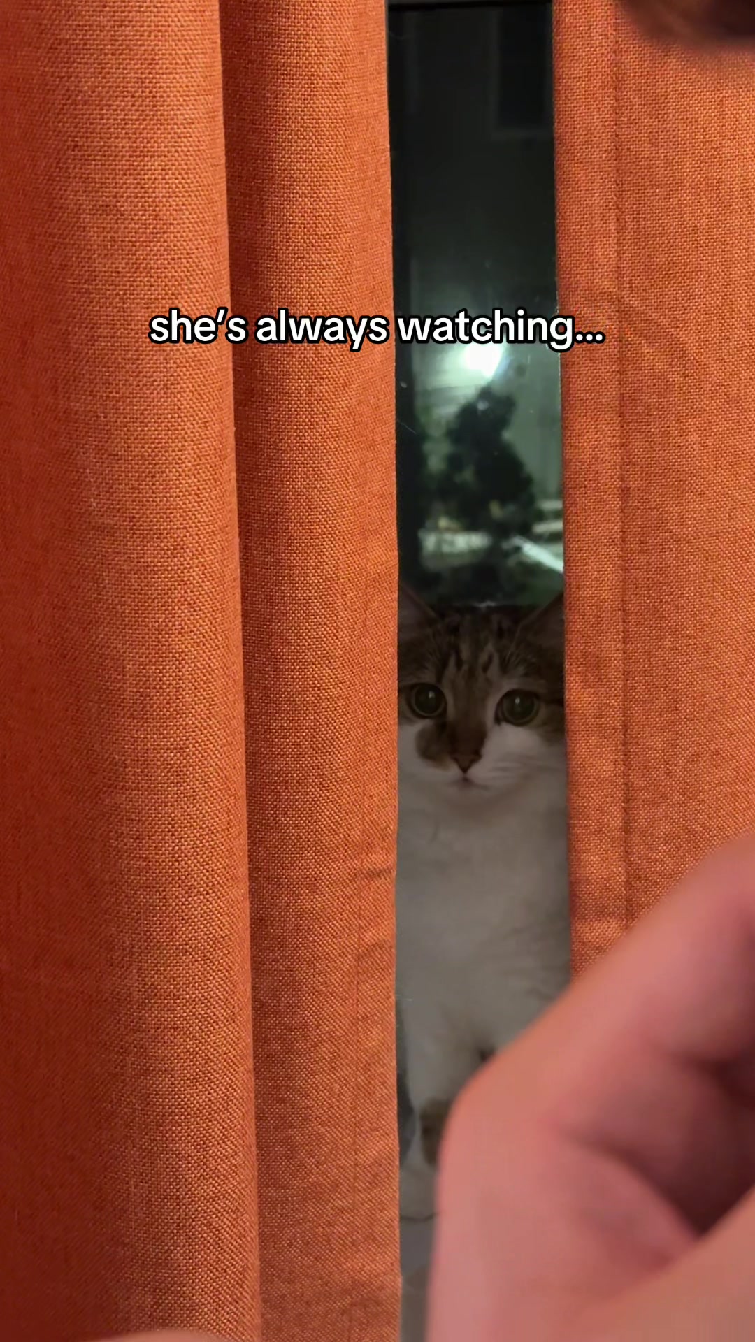 @Suki Purrs
