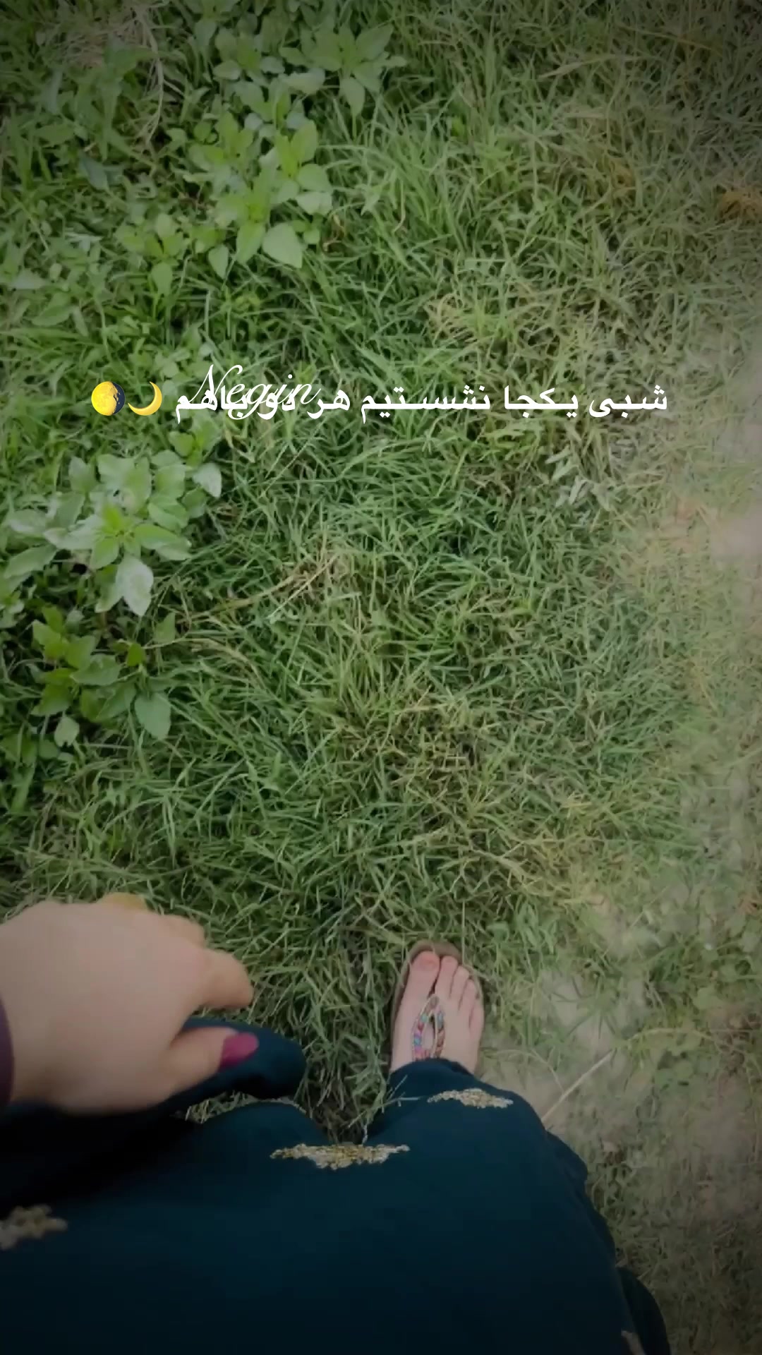 @Negin🌸