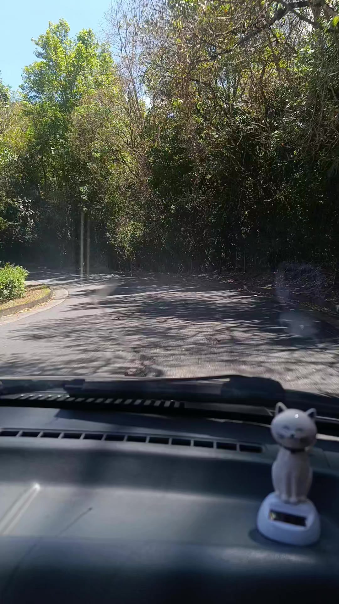 @camil0 acosta👻🤪👻🇨🇴