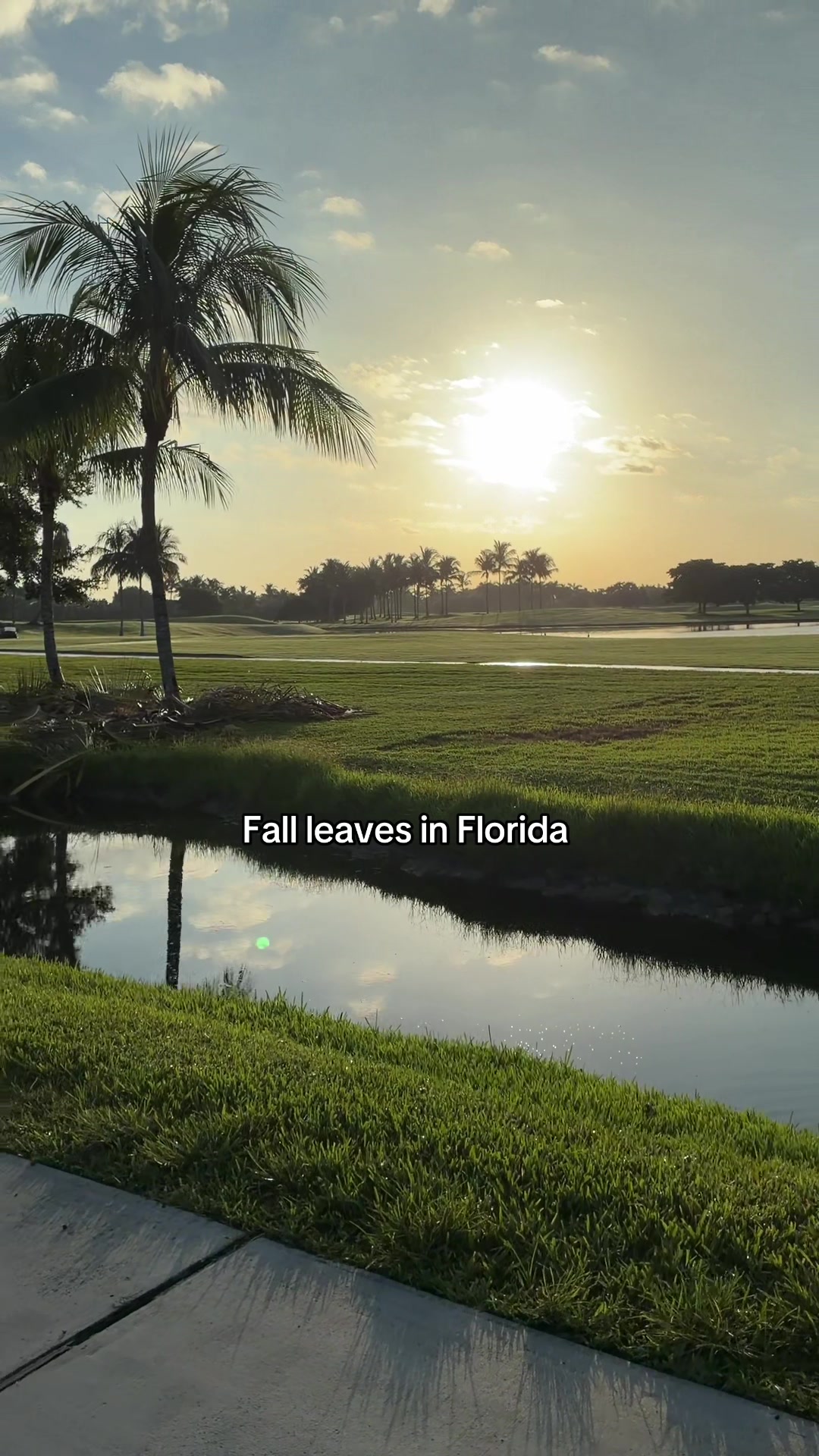 @floridanpc305