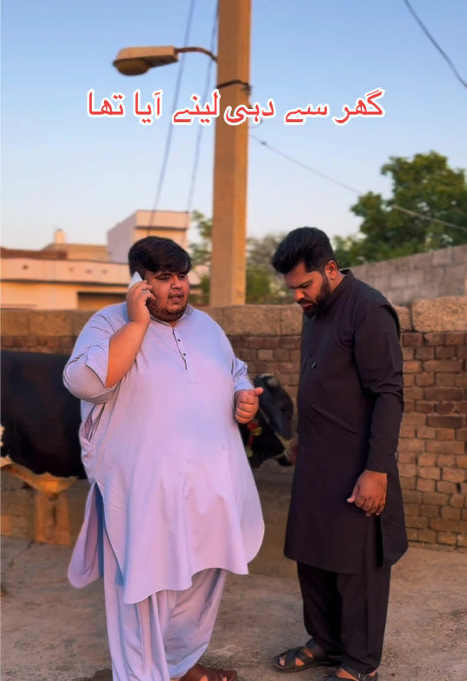 @MR SAQIB