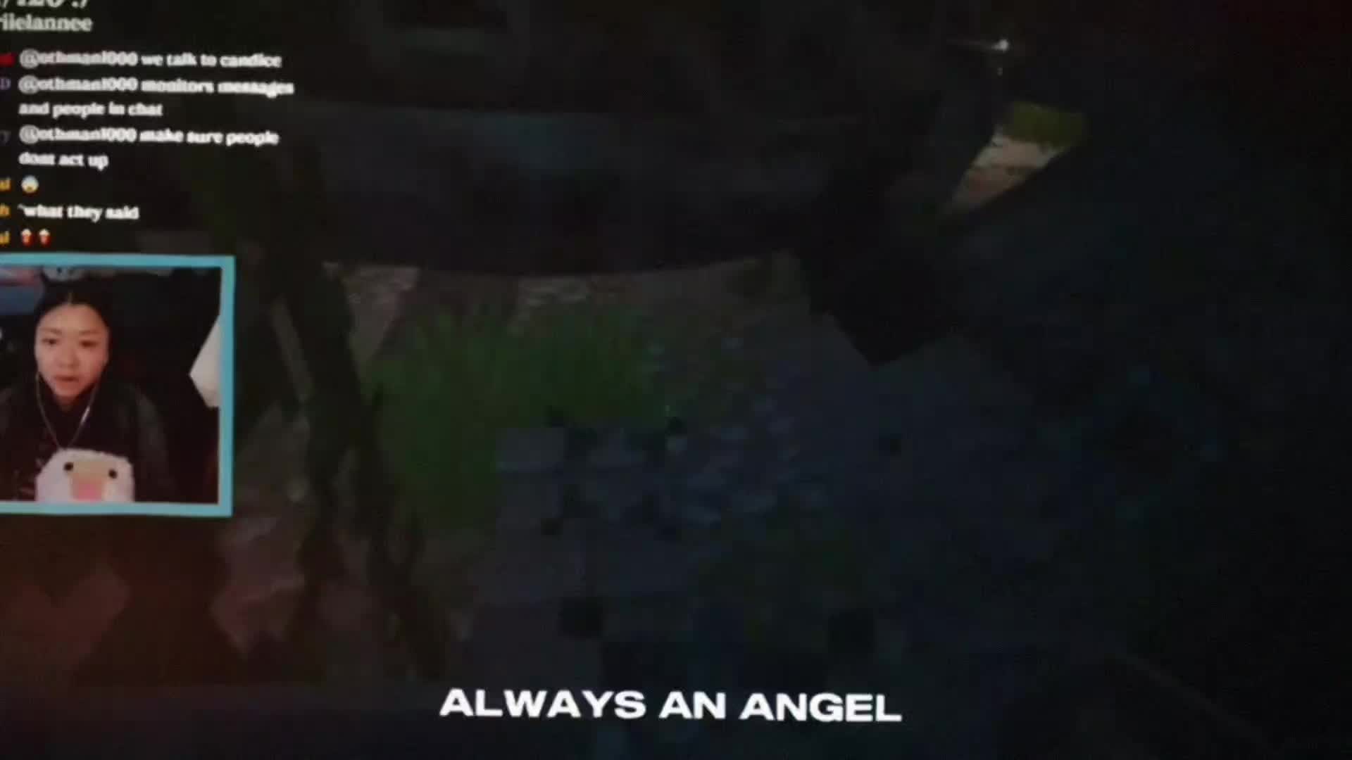 @Mor/Mike • it/it's