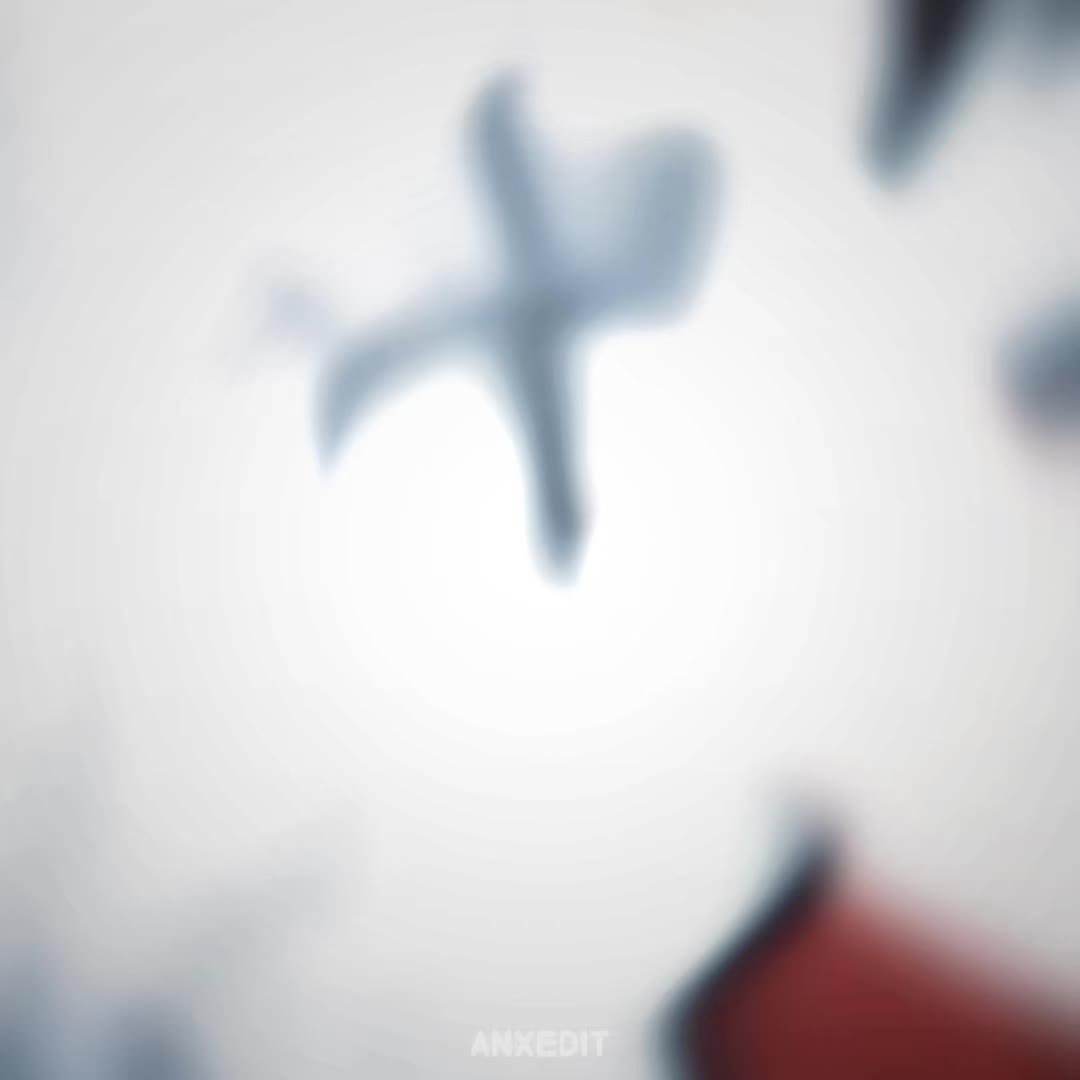 @ANXEDIT