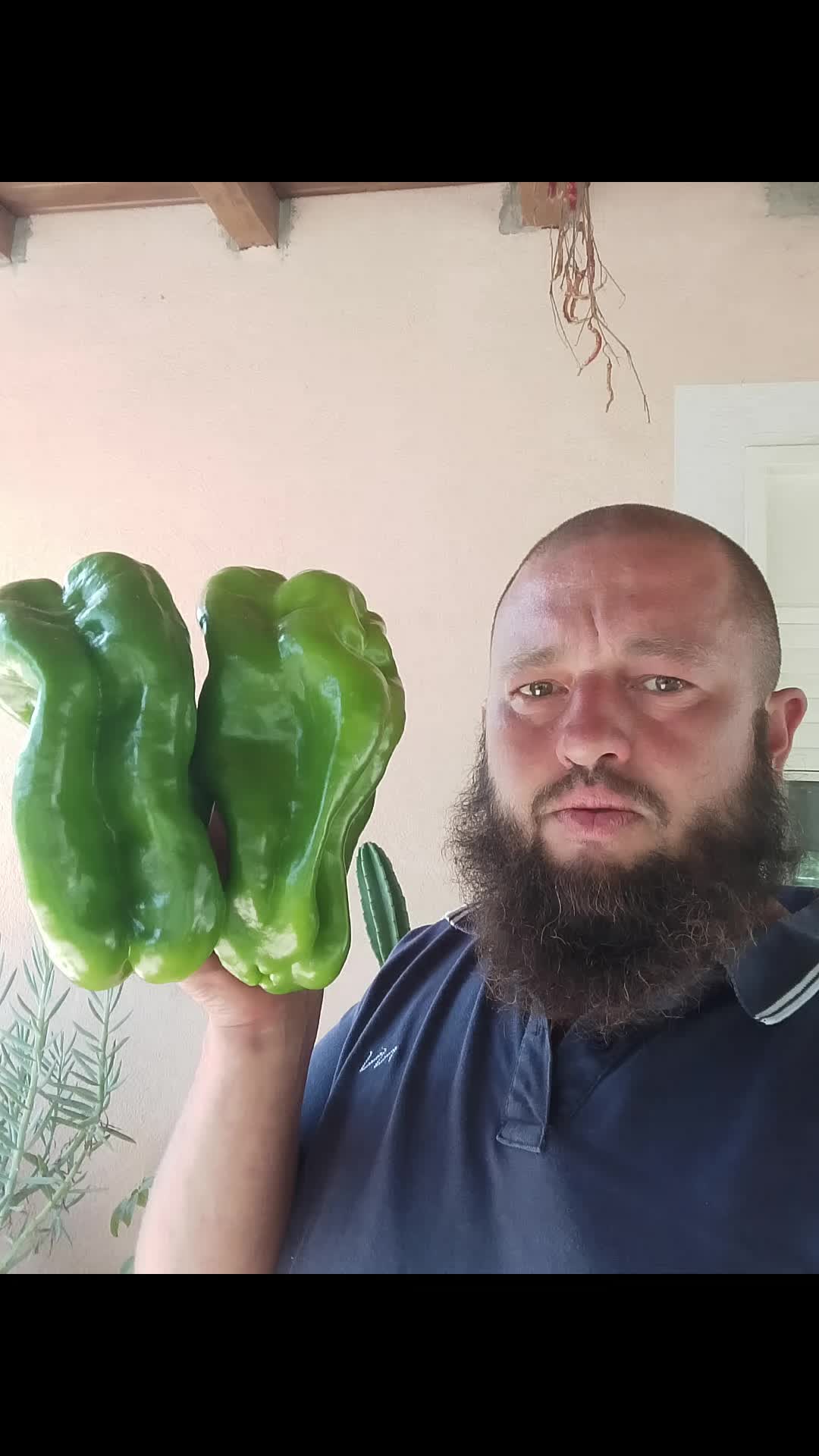 @Stefano Zagara