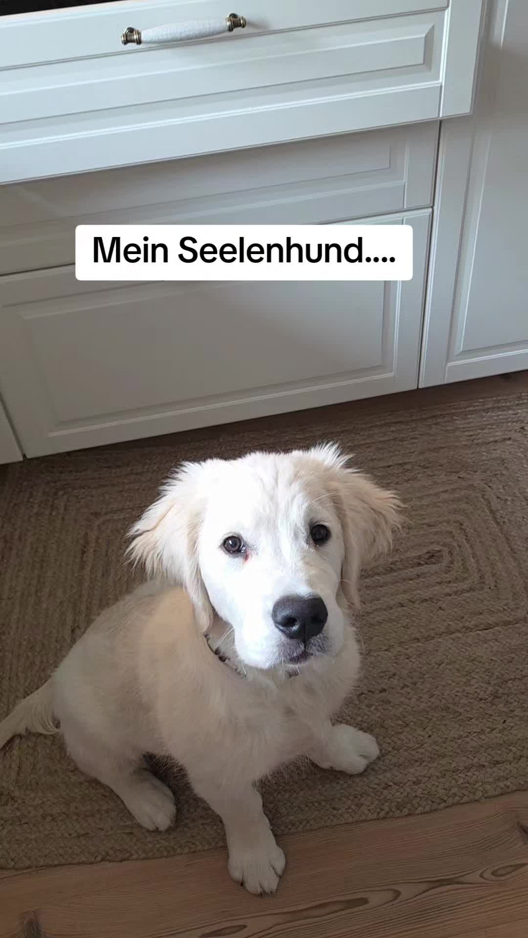 @MeinLeben-undich