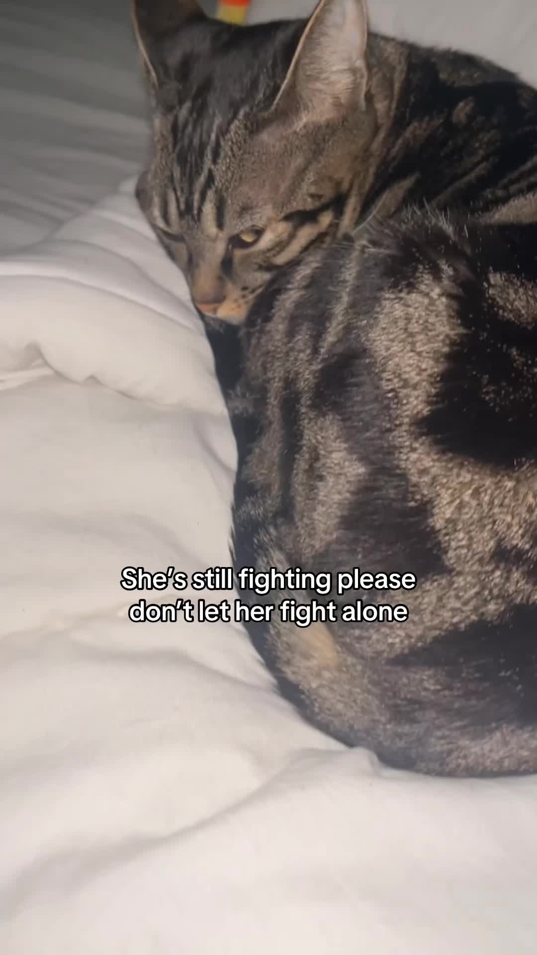 @Olivia
