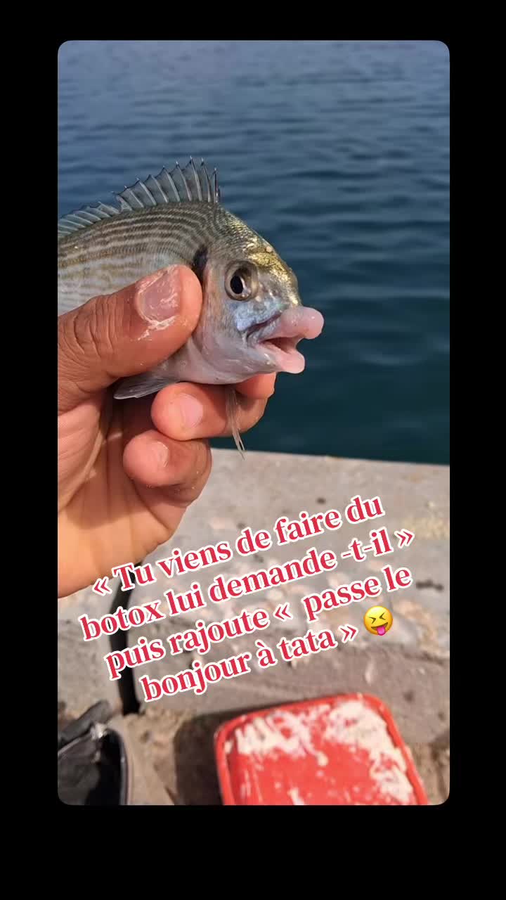 @imene7675