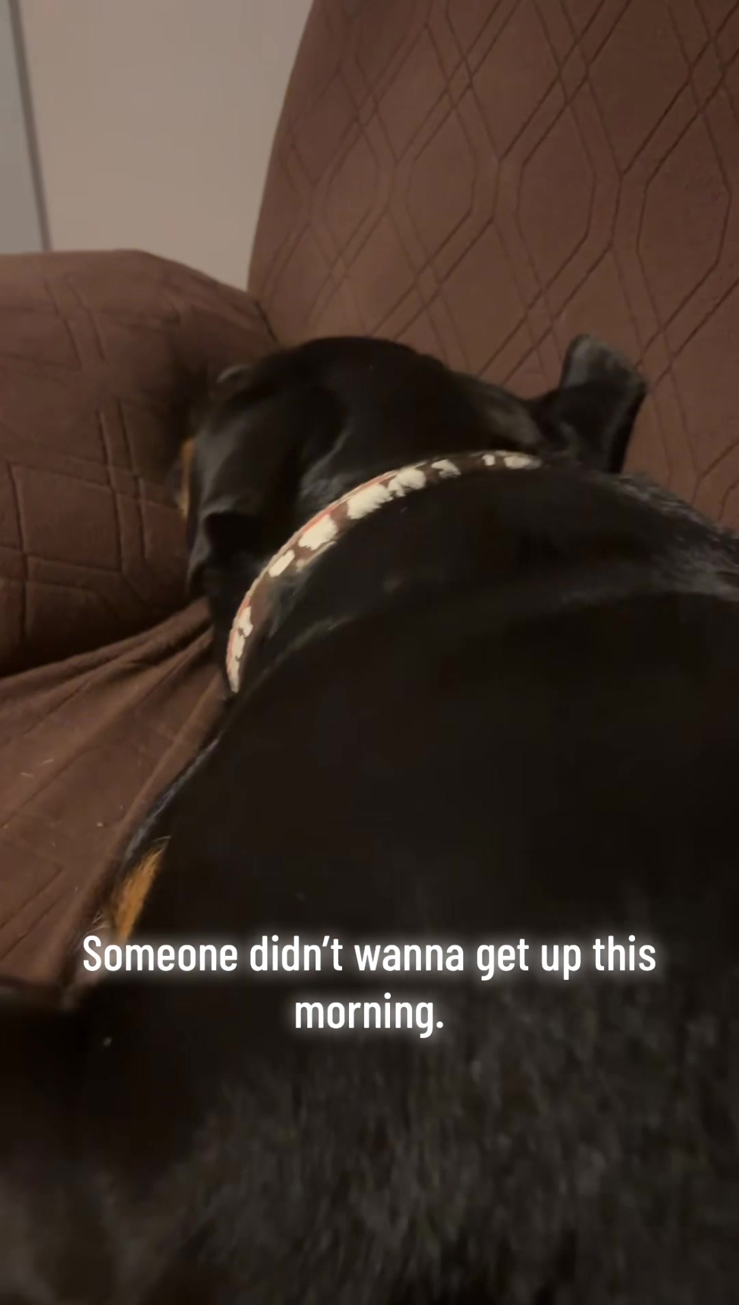 @Tori