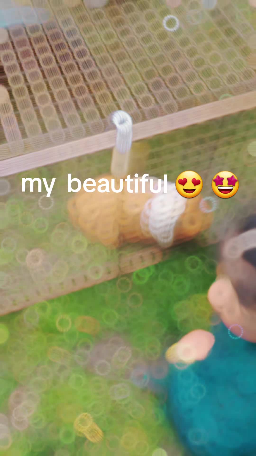 @fozia