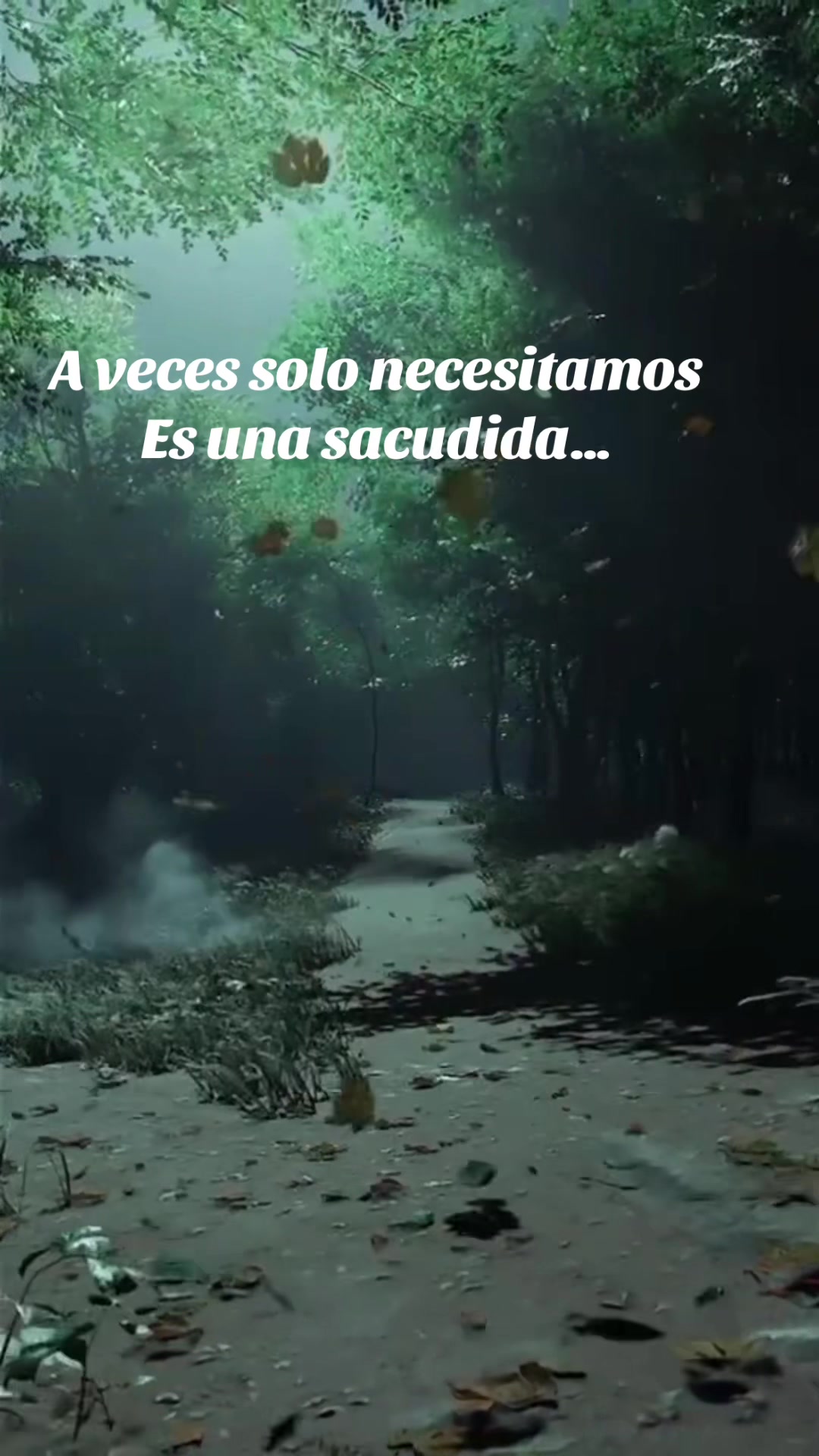 @Raul1961