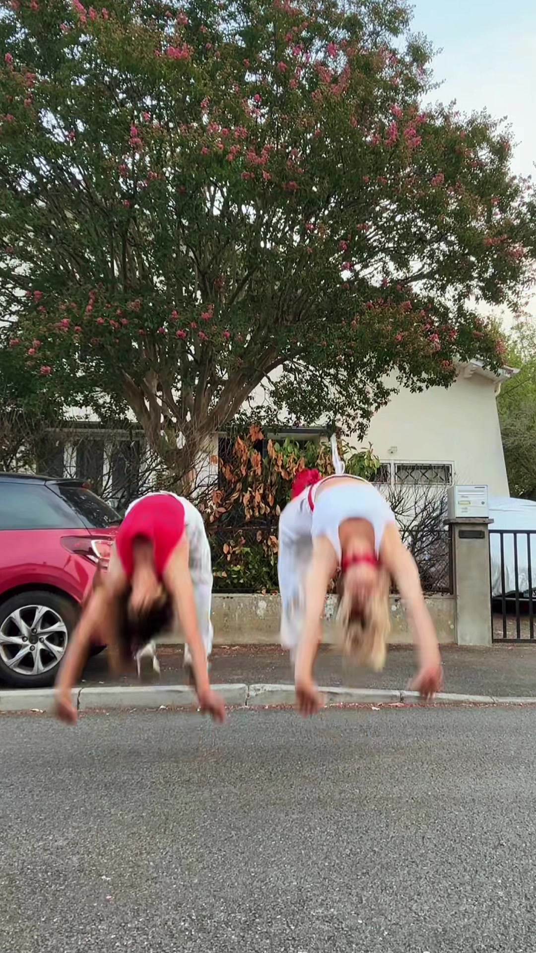 @Elyminer_