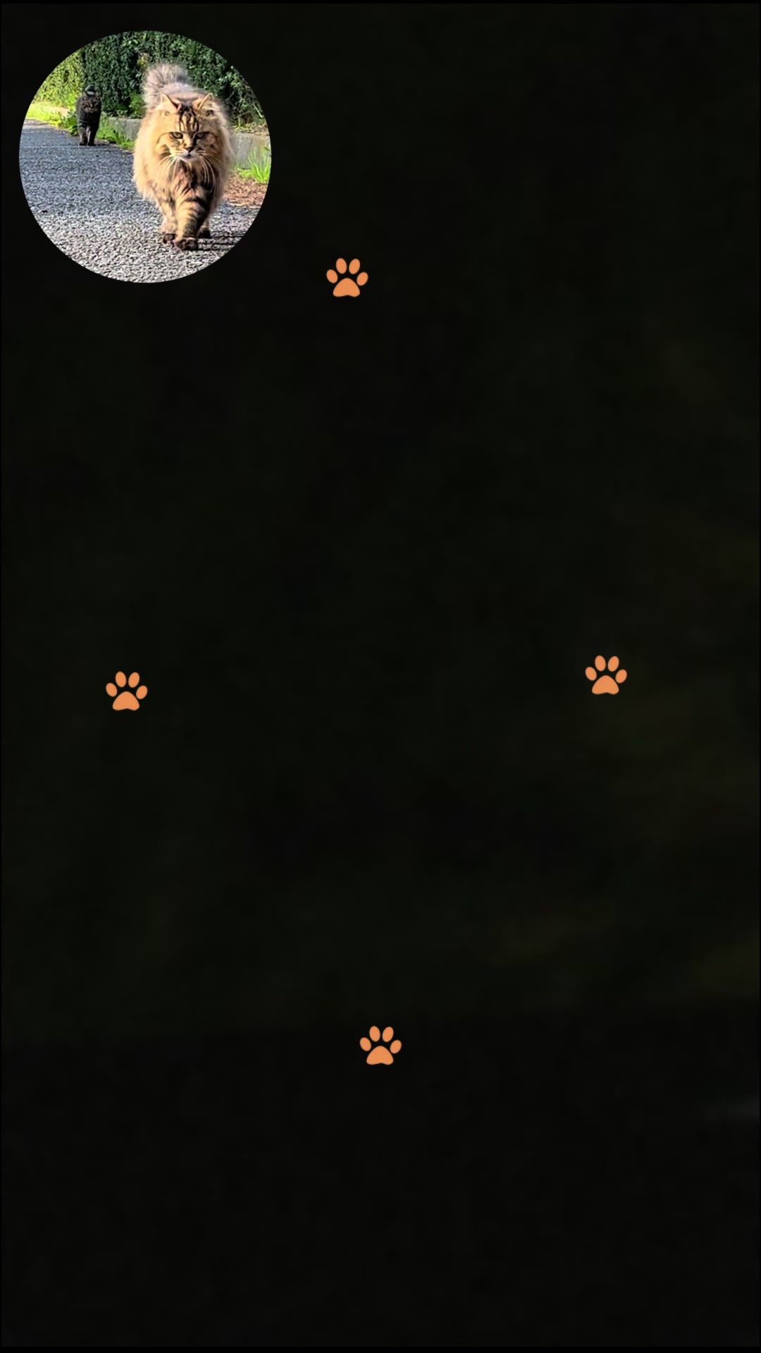 @🐈&zwj;⬛minako🐈&zwj;⬛🐈&zwj;⬛