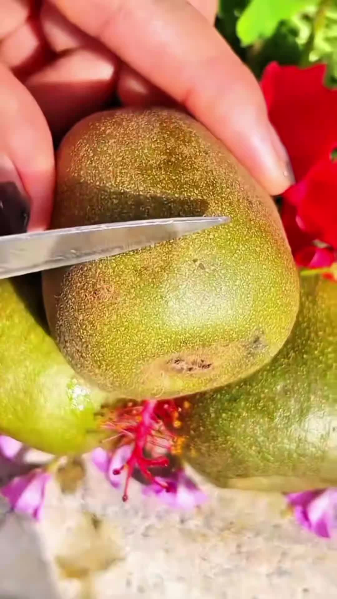 @Fruits🍑 Video