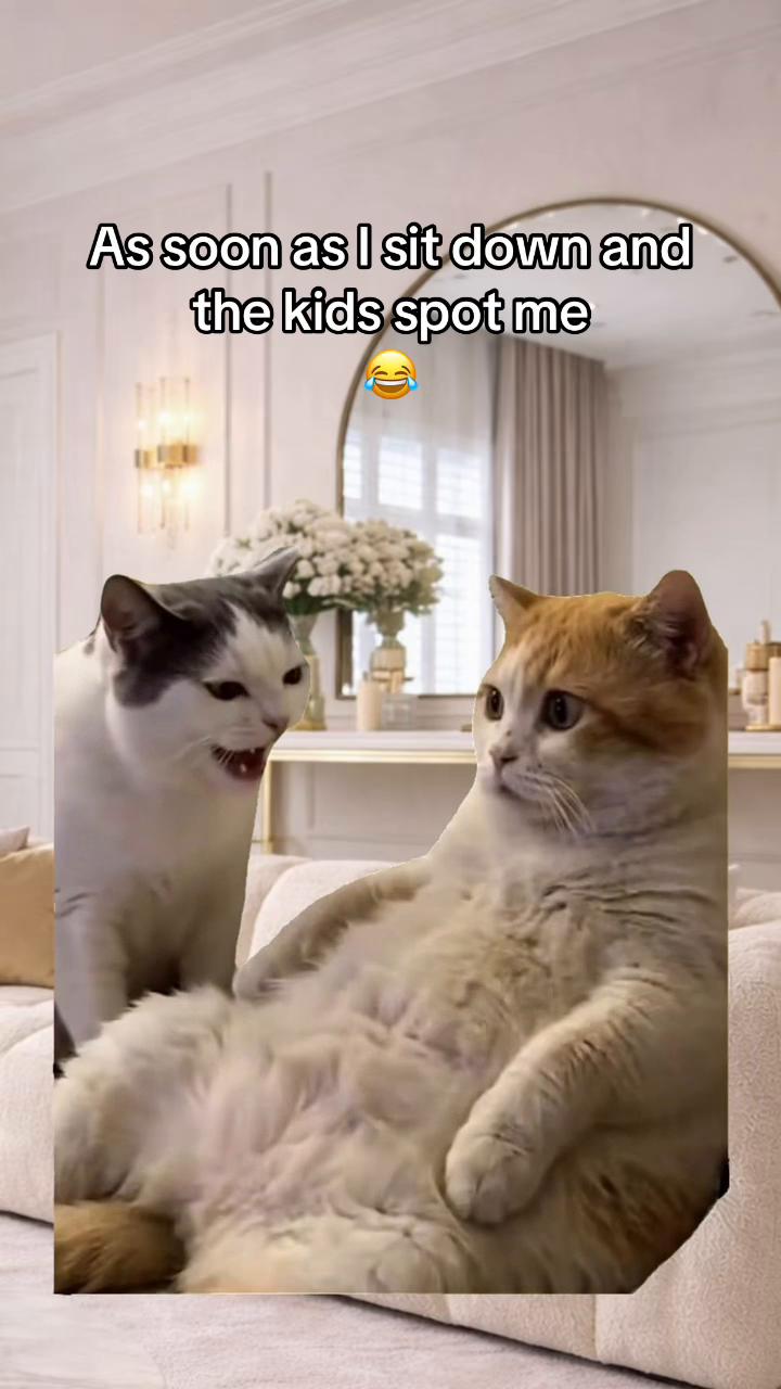 @Bev