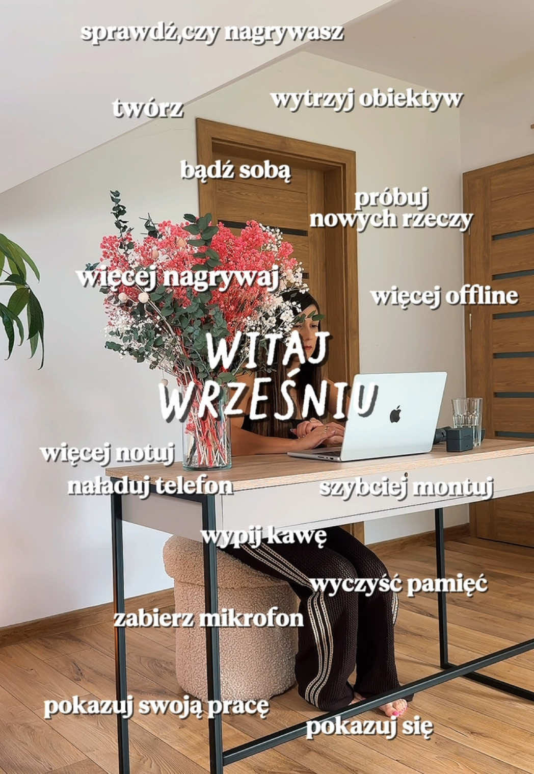 @renata.kreci.video