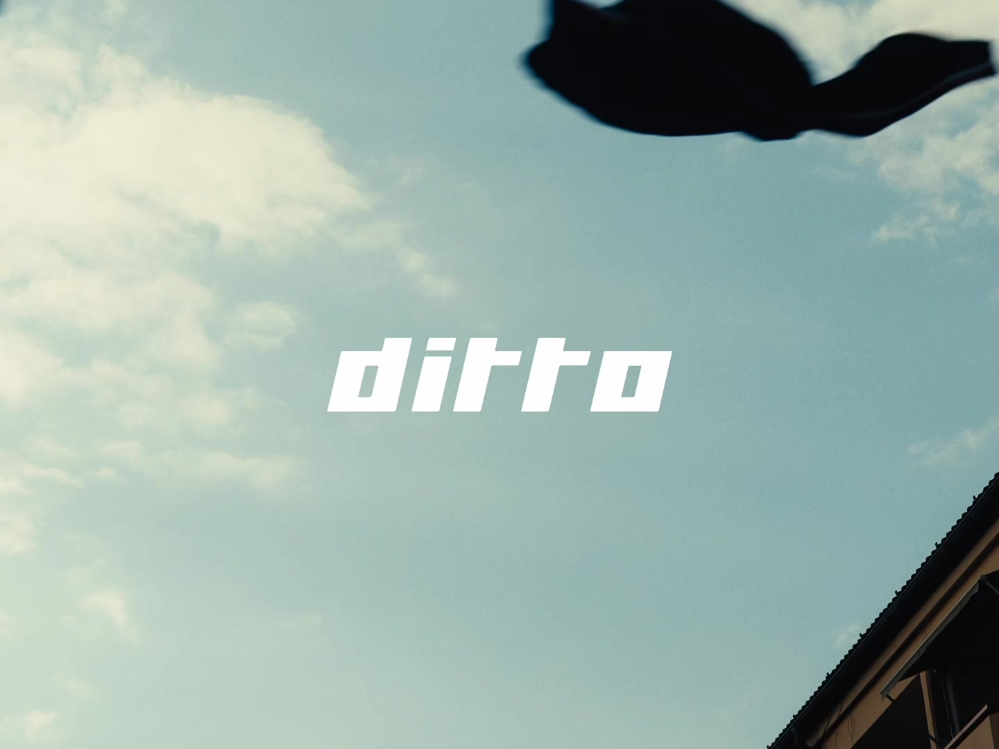 @Ditto