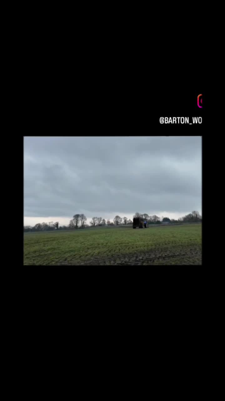 @Barton_wool