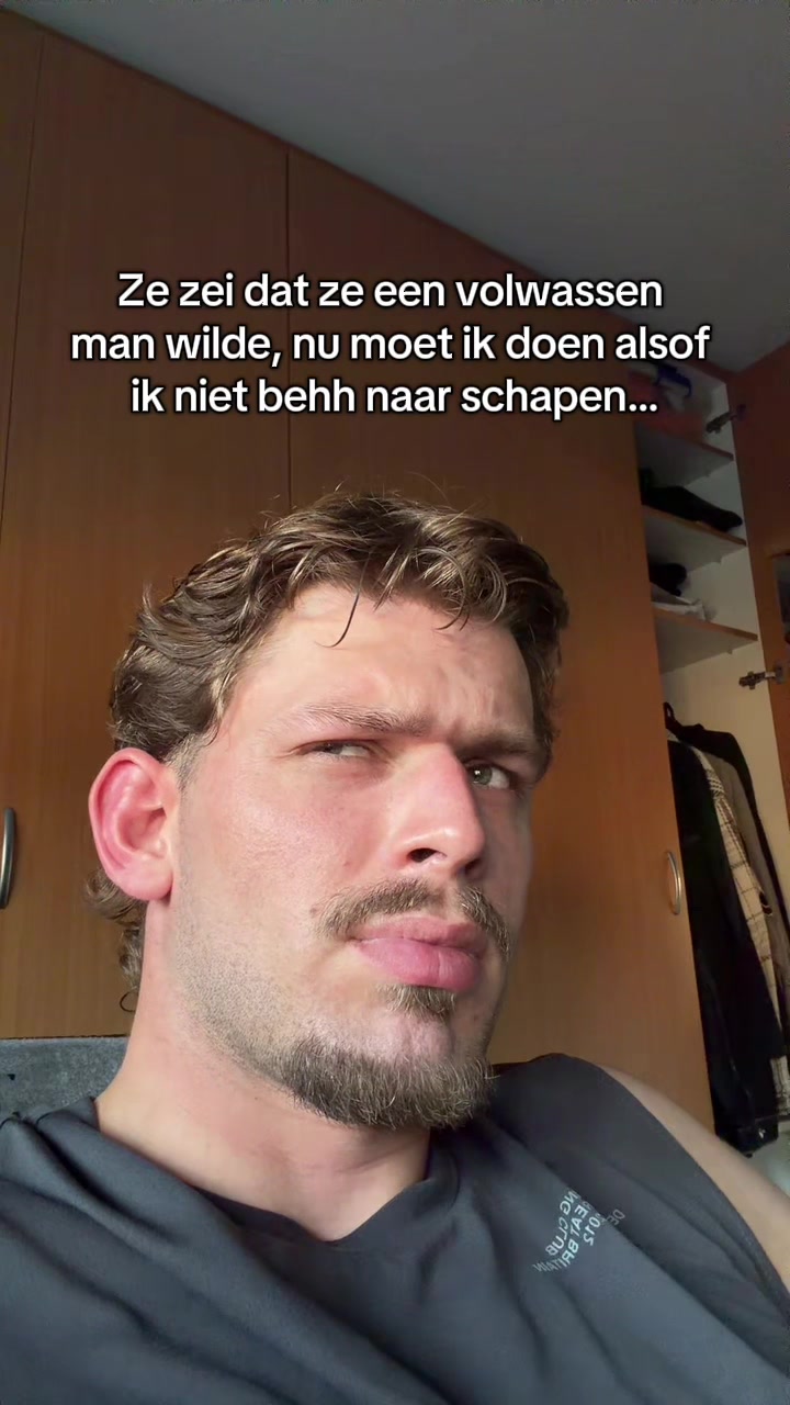 @rodyb