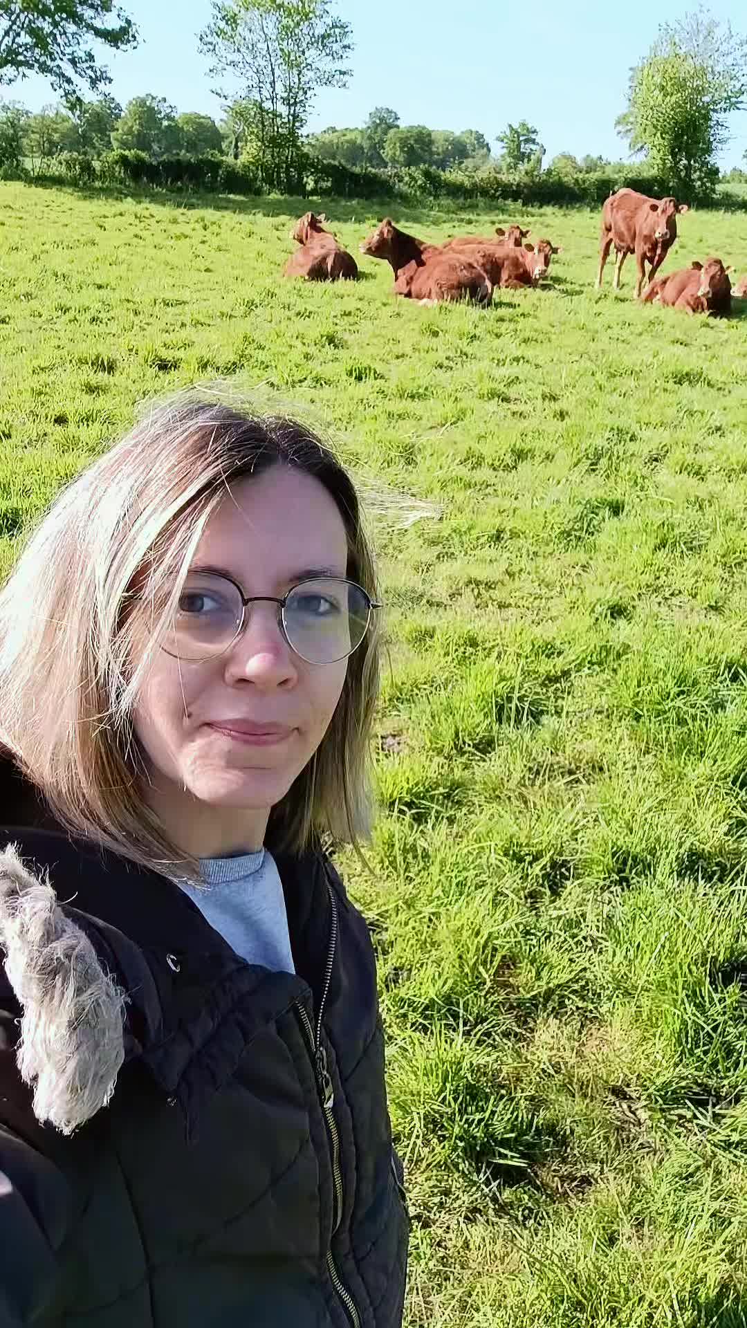 @Ludivine 🐶🐮