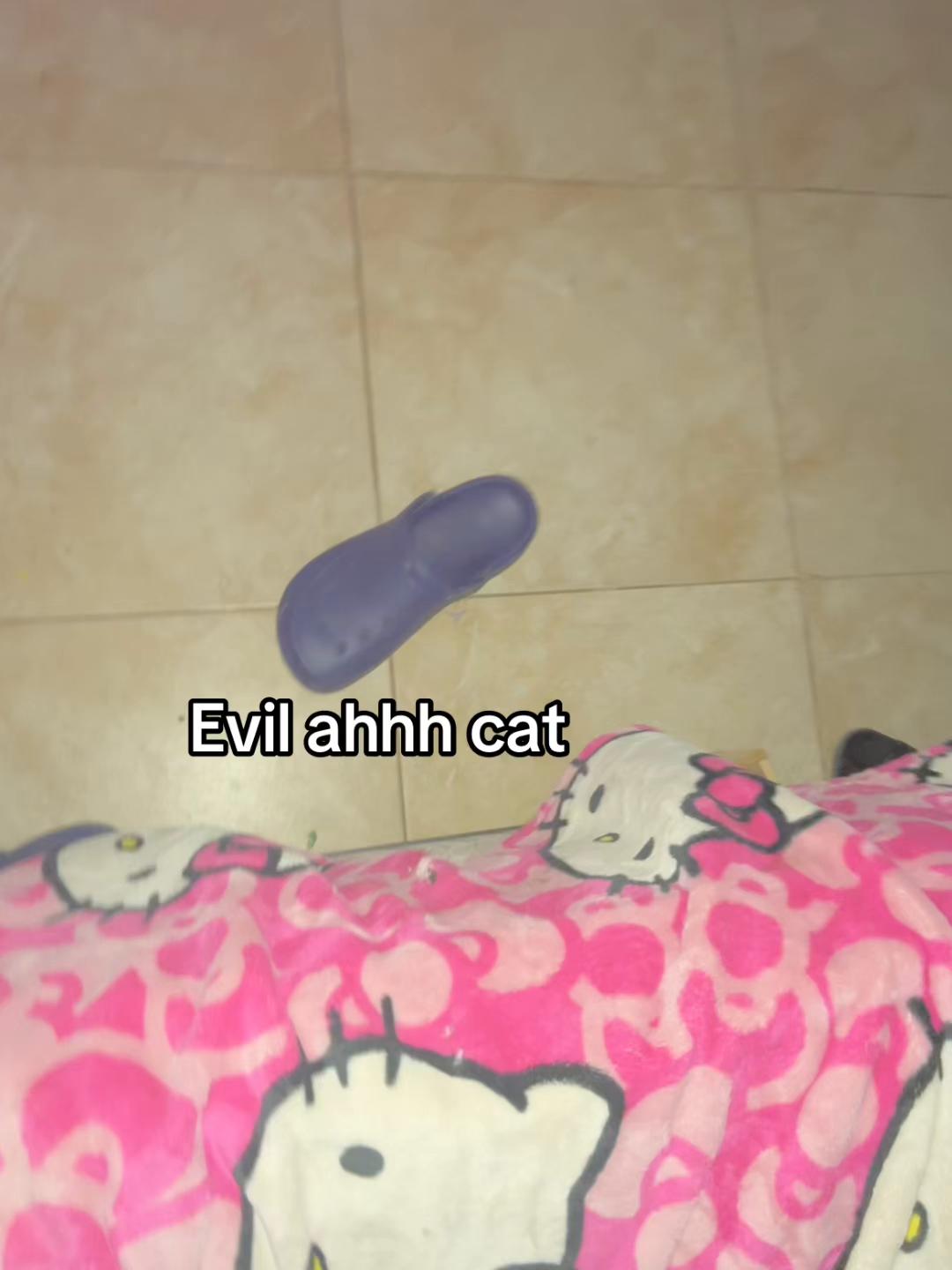 @leyvaroar
