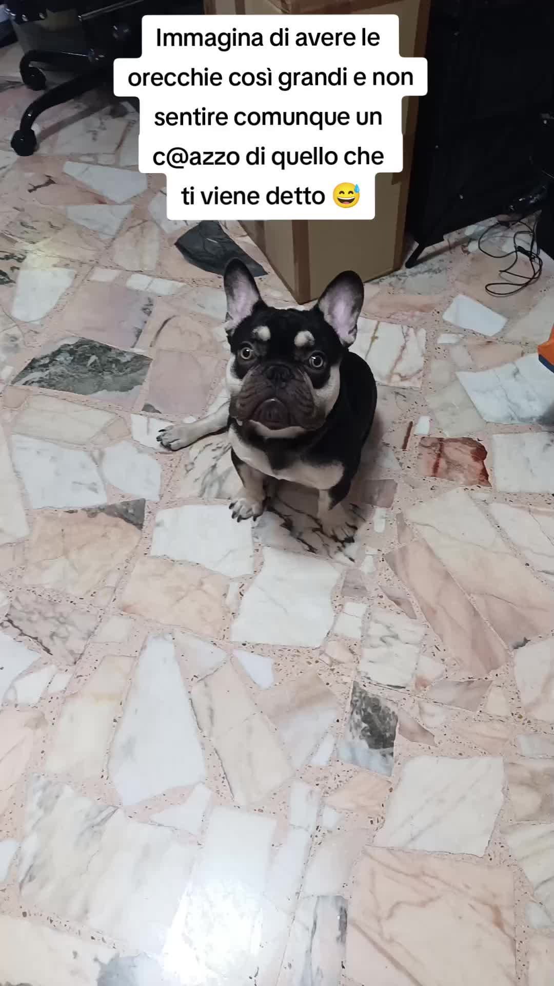 @Lety🌸