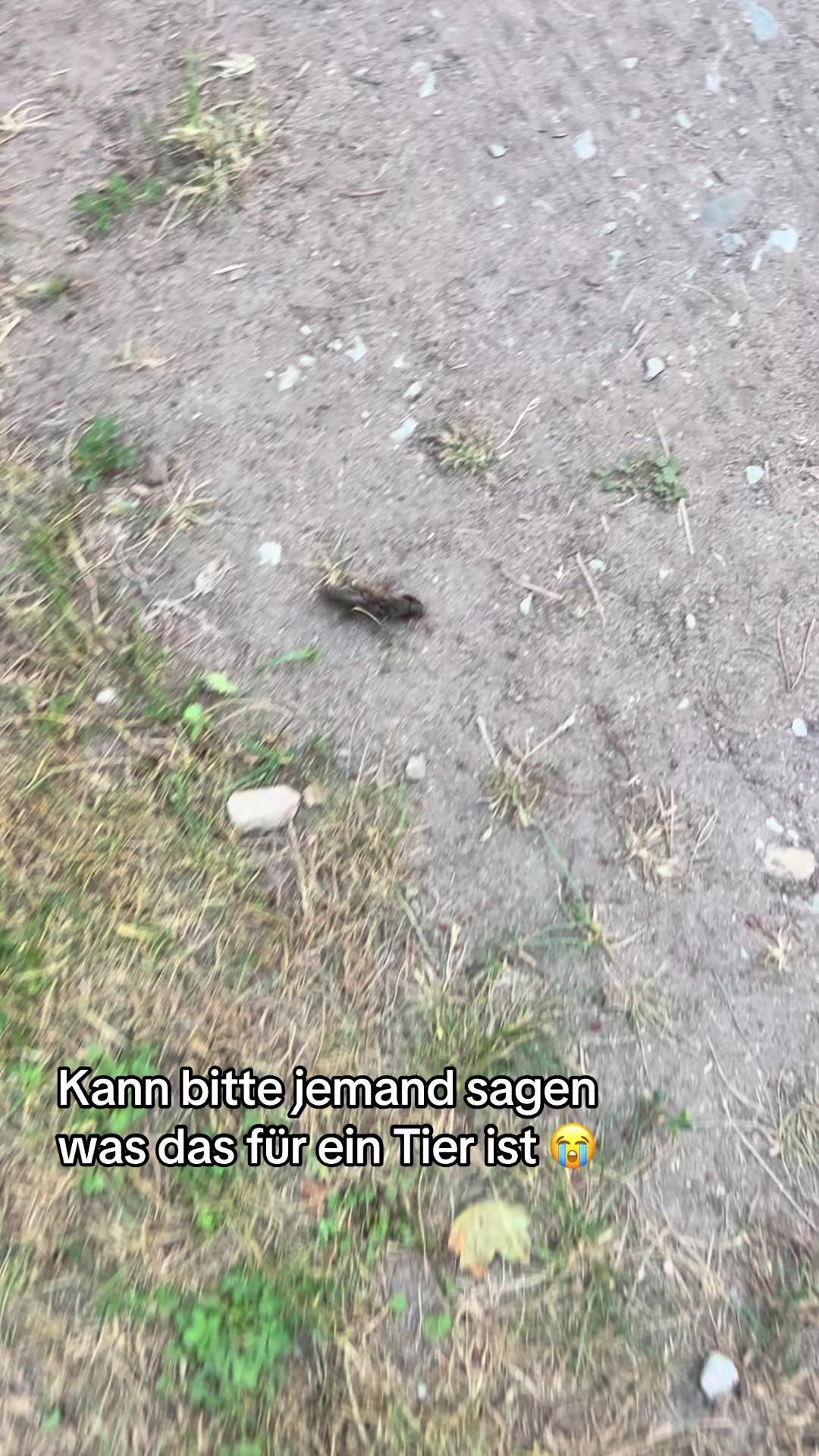 @𝓢𝓸𝓹𝓱𝓲𝓮